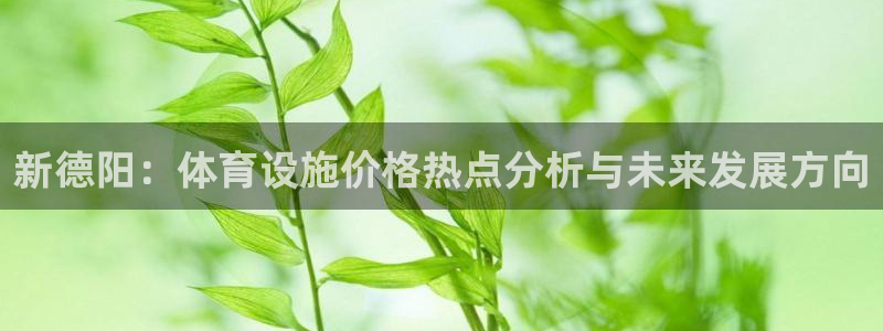 意昂4代理：新德阳：体育设施价格热点分析与未来发展方
