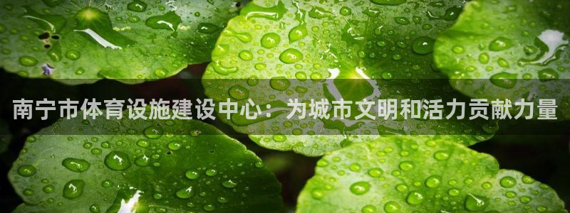 意昂体育4招商电话号码查询：南宁市体育设施建设中心：