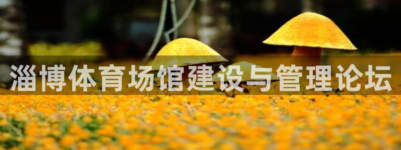 意昂体育4注册：淄博体育场馆建设与管理论坛