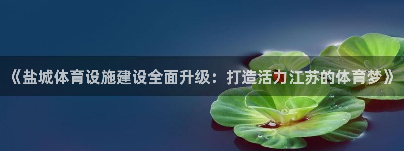 意昂体育4平台是正规平台吗安全吗：《盐城体育设施建设全面升级 