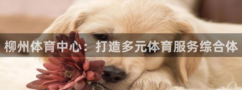 意昂体育4招商电话：柳州体育中心：打造多元体育服务综合体