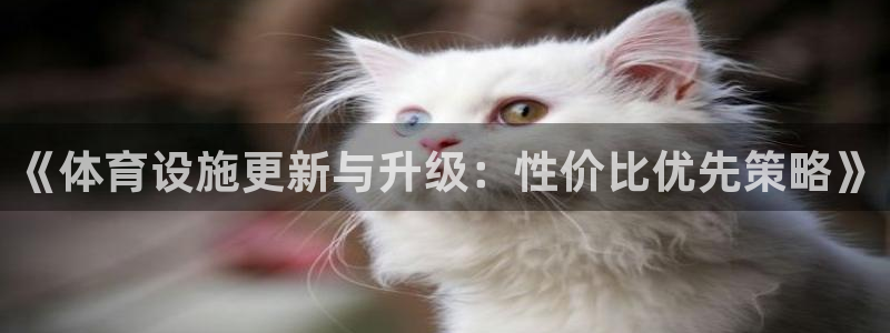 意昂体育4是干嘛的公司：《体育设施更新与升级：性价比优先策略