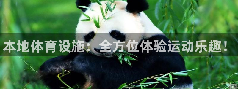 意昂4集团简介：本地体育设施：全方位体验运动乐趣！