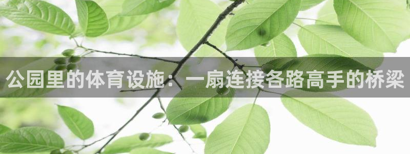意昂体育4招商电话号码是多少号：公园里的体育设施：一