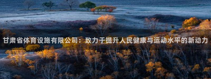 意昂集团官网：甘肃省体育设施有限公司：致力于提升人民