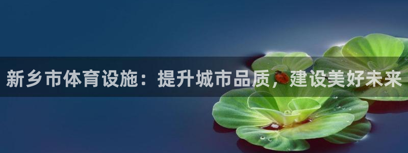 德国意昂4集团：新乡市体育设施：提升城市品质，建设美