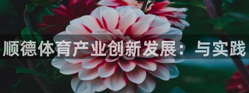 意昂4神州：顺德体育产业创新发展：与实践