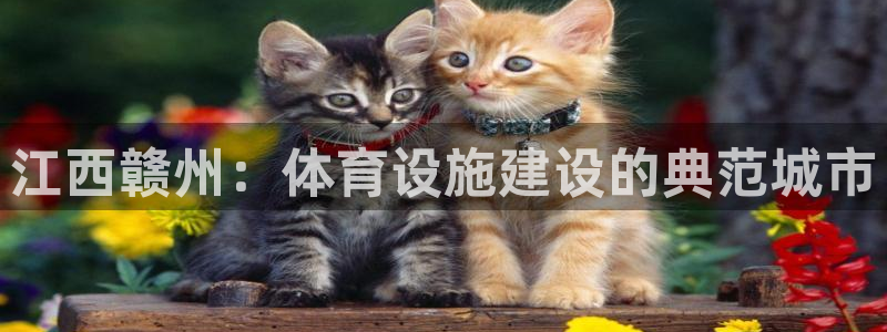 意昂4娱乐首页官网下载：江西赣州：体育设施建设的典范