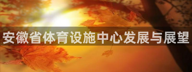 意昂集团官网：安徽省体育设施中心发展与展望
