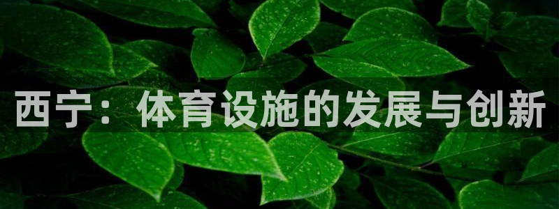 意昂体育4联系电话：西宁：体育设施的发展与创新