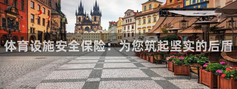 意昂4娱乐平台：体育设施安全保险：为您筑起坚实的后盾