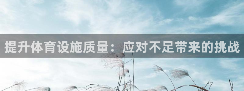 意昂4集团：提升体育设施质量：应对不足带来的挑战