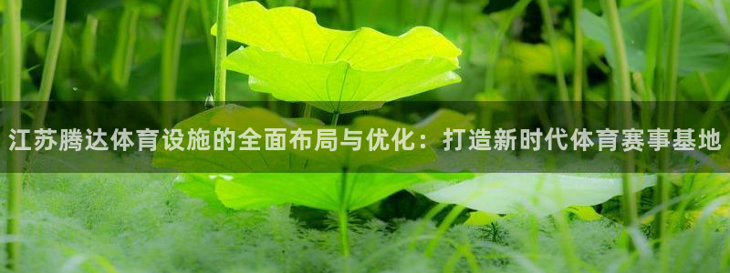 意昂4娱乐首页网站大全：江苏腾达体育设施的全面布局与