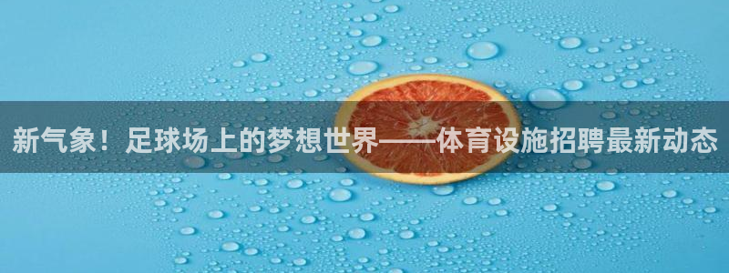 意昂体育4官方客服电话：新气象！足球场上的梦想世界—