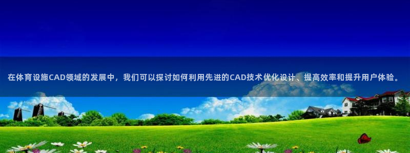 意昂体育4招商电话号码：在体育设施CAD领域的发展中