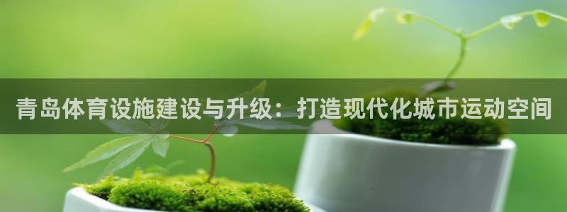 意昂体育4平台是正规平台吗知乎：青岛体育设施建设与升