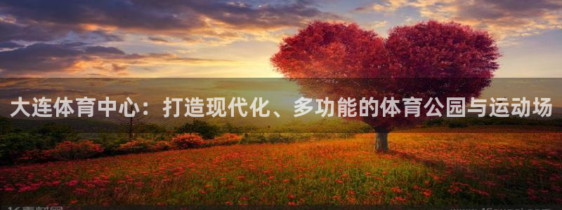 意昂体育4平台注册要钱吗安全吗：大连体育中心：打造现