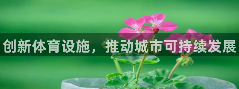 意昂4娱乐平台：创新体育设施，推动城市可持续发展