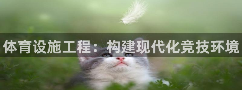 意昂体育4：体育设施工程：构建现代化竞技环境