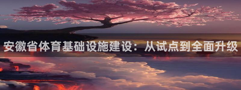 意昂体育4联系电话：安徽省体育基础设施建设：从试点到
