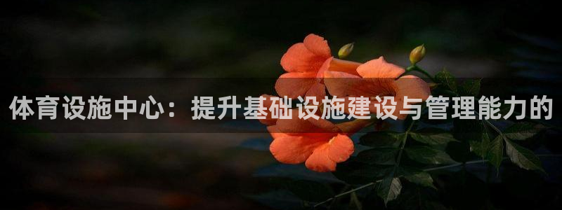 意昂4娱乐首页官网下载：体育设施中心：提升基础设施建