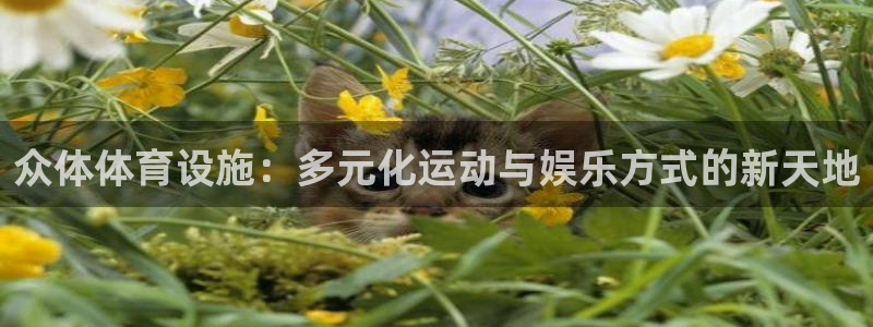 意昂4娱乐下载：众体体育设施：多元化运动与娱乐方式的