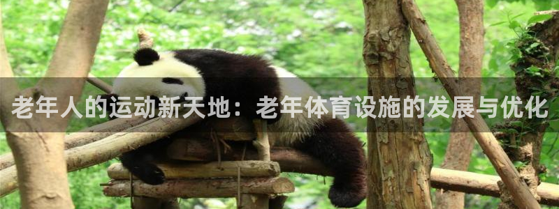 意昂体育4招商电话是多少号码：老年人的运动新天地：老