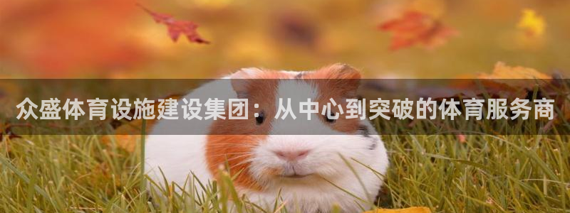 意昂体育4官方客服电话：众盛体育设施建设集团：从中心