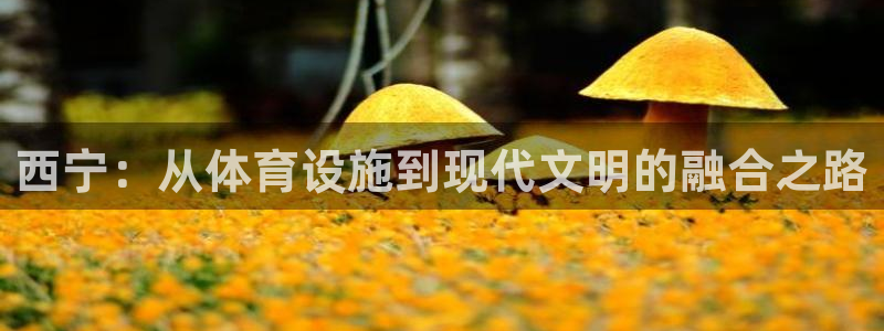 意昂体育4平台假的吗是真的吗吗：西宁：从体育设施到现