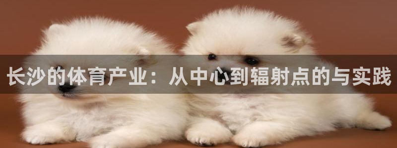 意昂体育4招商电话是多少号码：长沙的体育产业：从中心