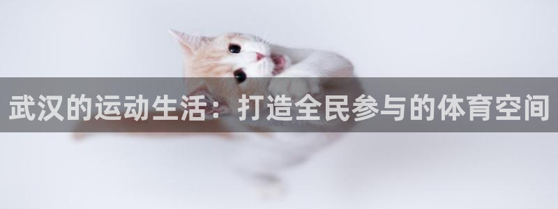 意昂4官网：武汉的运动生活：打造全民参与的体育空间