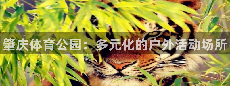 意昂4集团官网首页网址：肇庆体育公园：多元化的户外活