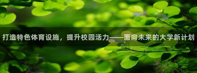 意昂4神州：打造特色体育设施，提升校园活力——面向未