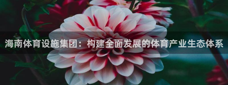 意昂体育4招商电话：海南体育设施集团：构建全面发展的