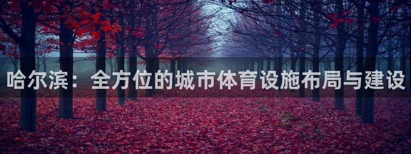 意昂4开户：哈尔滨：全方位的城市体育设施布局与建设