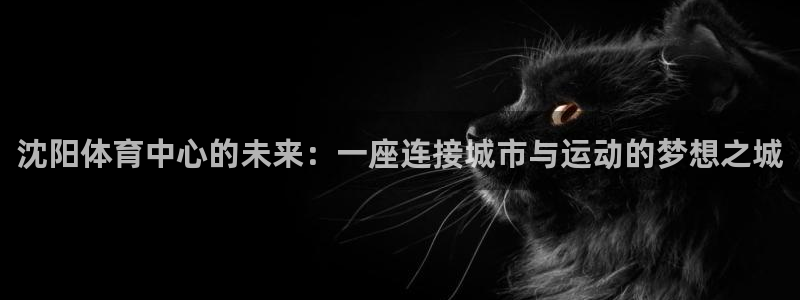 意昂体育4平台注册要钱吗：沈阳体育中心的未来：一座连