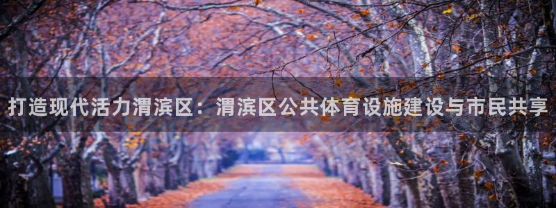 意昂4集团官网首页：打造现代活力渭滨区：渭滨区公共体