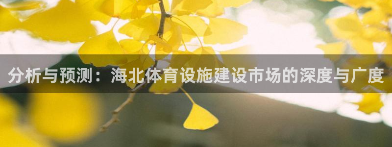 意昂4娱乐首页官网下载：分析与预测：海北体育设施建设