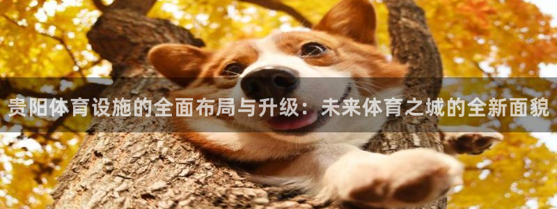 意昂体育4开户：贵阳体育设施的全面布局与升级：未来体