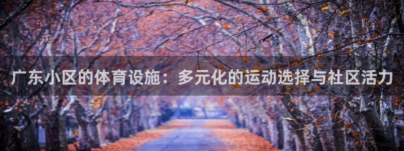 意昂体育4平台注册流程图：广东小区的体育设施：多元化的运动选