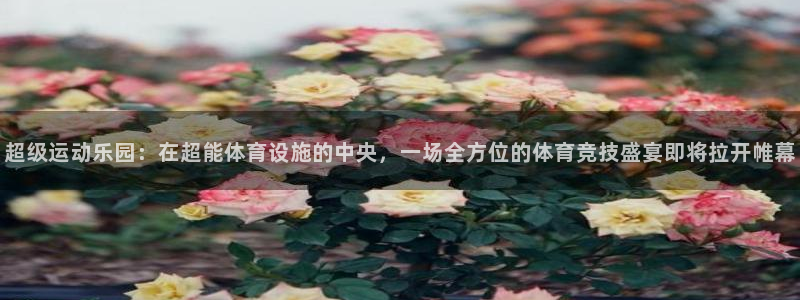 意昂4娱乐首页官网下载：超级运动乐园：在超能体育设施的中央，