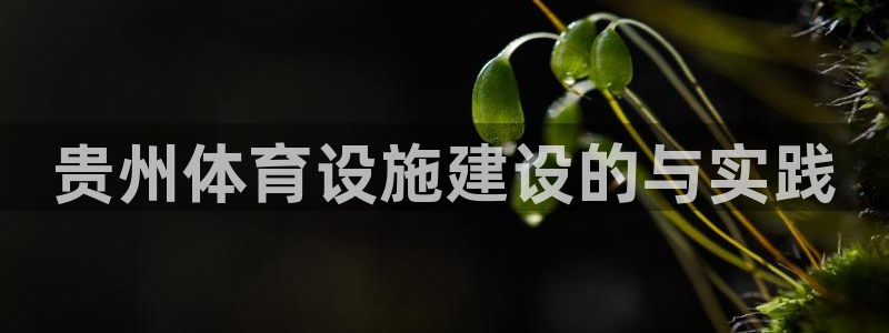 意昂4娱乐平台：贵州体育设施建设的与实践 