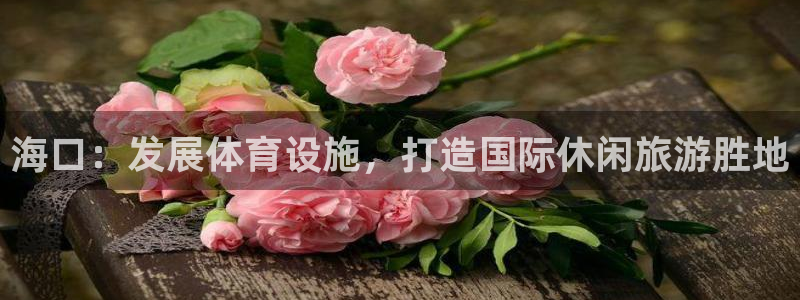 意昂4集团E.ON：海口：发展体育设施，打造国际休闲旅游胜地 