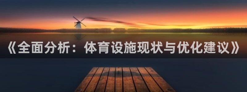 意昂4五金厂：《全面分析：体育设施现状与优化建议》 
