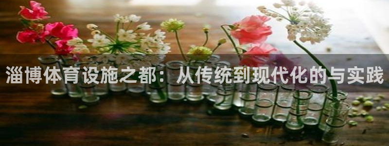 海南意昂体育4：淄博体育设施之都：从传统到现代化的与实践