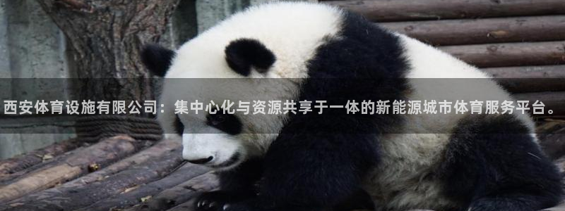 意昂4五金厂：西安体育设施有限公司：集中心化与资源共享于一体