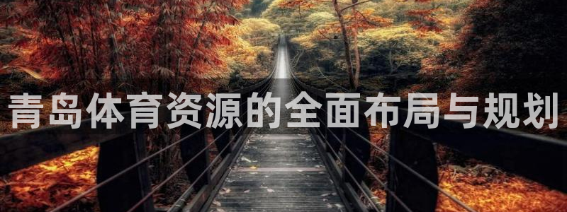 意昂4集团官网首页网址：青岛体育资源的全面布局与规划