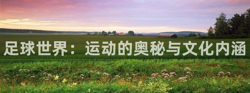 意昂体育4招商电话地址是多少：足球世界：运动的奥秘与文化内涵
