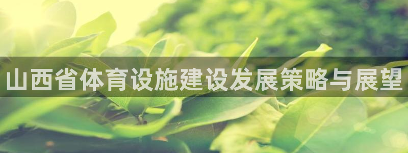 意昂体育4平台假的吗是真的吗：山西省体育设施建设发展策略与展 
