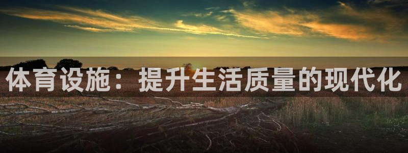 意昂4集团官网网址：体育设施：提升生活质量的现代化